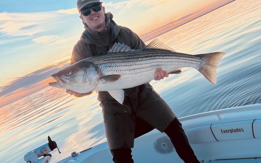 A Beautiful Late December Day on the Chesapeake
